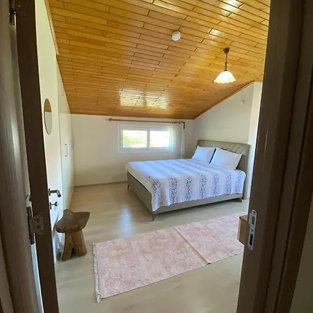 Apartment Nisa *